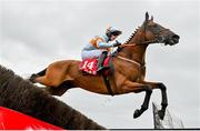 2 August 2023; Ash Tree Meadow, with Danny Gilligan up, jumps the eighth on their way to winning the Tote Galway Plate during day three of the Galway Races Summer Festival at Ballybrit Racecourse in Galway. Photo by Seb Daly/Sportsfile