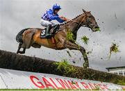 3 August 2023; I Am Rocco, with Philip Enright up, jumps the eighth during the Guinness Beginners Steeplechase during day four of the Galway Races Summer Festival at Ballybrit Racecourse in Galway. Photo by Seb Daly/Sportsfile