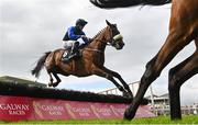 3 August 2023; The Big Doyen, with Kevin Sexton up, jumps the seventh on their way to winning the Guinness Novice Hurdle during day four of the Galway Races Summer Festival at Ballybrit Racecourse in Galway. Photo by Seb Daly/Sportsfile
