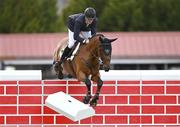 12 August 2023; Daniel McAlinden of Ireland competes on Keatingstown Z Wellie Two during the Defender Puissance during the 2023 Longines FEI Dublin Horse Show at the RDS in Dublin. Photo by David Fitzgerald/Sportsfile