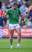 20 August 2023; Naomh Éanna captain Conor McDonald celebrates at the final whistle after his side's victory in the Wexford County Senior Hurling Championship final match between Naomh Éanna and Oylegate-Glenbrien at Chadwicks Wexford Park in Wexford. Photo by Piaras Ó Mídheach/Sportsfile