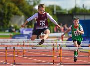 26 August 2023; Cody Sheridan from Coole-Whitehall, Westmeath, competes in the Boys under-10 60m Hurdles during the Community Games National Track and Field finals at Carlow SETU in Carlow. Photo by Matt Browne/Sportsfile