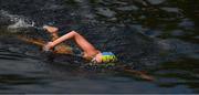2 September 2023; The female winner, Roseanne Marshall of the Guinness club, swims clear of the field at Butt Bridge during the 103rd Jones Engineering Liffey Swim organised by Leinster Open Sea. Photo by Ray McManus/Sportsfile