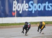 2 September 2023; Sogna In Grade, left, on the way to winning race two of the 2023 BoyleSports Irish Greyhound Derby Final meeting at Shelbourne Park in Dublin. Photo by Seb Daly/Sportsfile