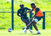 4 September 2023; Chiedozie Ogbene, right, and Festy Ebosele during a Republic of Ireland training session at the FAI National Training Centre in Abbotstown, Dublin. Photo by Stephen McCarthy/Sportsfile