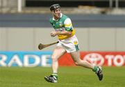 4 July 2004; Brian Whelahan, Offaly. Guinness Leinster Senior Hurling Championship Final, Offaly v Wexford, Croke Park, Dublin. Picture credit; Damien Eagers / SPORTSFILE