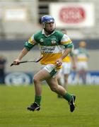 4 July 2004; Brian Carroll, Offaly. Guinness Leinster Senior Hurling Championship Final, Offaly v Wexford, Croke Park, Dublin. Picture credit; Damien Eagers / SPORTSFILE
