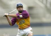 4 July 2004; Barry Lambert,  Wexford. Guinness Leinster Senior Hurling Championship Final, Offaly v Wexford, Croke Park, Dublin. Picture credit; Damien Eagers / SPORTSFILE