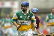 4 July 2004; David Franks, Offaly. Guinness Leinster Senior Hurling Championship Final, Offaly v Wexford, Croke Park, Dublin. Picture credit; Damien Eagers / SPORTSFILE
