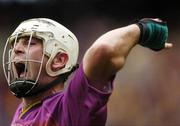 4 July 2004; Wexford's Paul Codd celebrates after scoiring a late point. Guinness Leinster Senior Hurling Championship Final, Offaly v Wexford, Croke Park, Dublin. Picture credit; Damien Eagers / SPORTSFILE