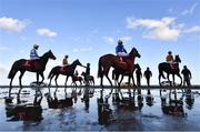 12 September 2023; Horses being led into the stalls before the Tote Never Beaten By SP Handicap at the Laytown Strand Races in Laytown, Meath. Photo by David Fitzgerald/Sportsfile