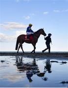 12 September 2023; Samrogue, with Connor Hogan up, being led into the stalls before the Tote Never Beaten By SP Handicap at the Laytown Strand Races in Laytown, Meath. Photo by David Fitzgerald/Sportsfile