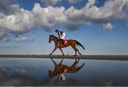 12 September 2023; Clarinbridge, with Rachael Blackmore up, goes to post before the Buckets Of Value At Tote Claiming Race at the Laytown Strand Races in Laytown, Meath. Photo by David Fitzgerald/Sportsfile