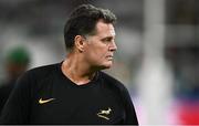 23 September 2023; South Africa director of rugby Rassie Erasmus before the 2023 Rugby World Cup Pool B match between South Africa and Ireland at Stade de France in Paris, France. Photo by Ramsey Cardy/Sportsfile