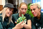 25 September 2023; Republic of Ireland players, from left, Denise O'Sullivan, Megan Connolly and Savannah McCarthy with Flash, a chameleon, at Zoo Café in Budapest, Hungary, during some down time ahead of their UEFA Women's Nations League B1 match against Hungary, on Tuesday. Photo by Stephen McCarthy/Sportsfile