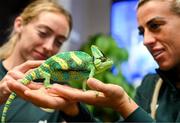 25 September 2023; Republic of Ireland's Savannah McCarthy, right, and Megan Connolly with Flash, a chameleon, at Zoo Café in Budapest, Hungary, during some down time ahead of their UEFA Women's Nations League B1 match against Hungary, on Tuesday. Photo by Stephen McCarthy/Sportsfile