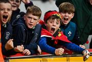 30 September 2023; Munster supporters celebrate a try during the representative match between Munster and Barbarians at Thomond Park in Limerick. Photo by David Fitzgerald/Sportsfile