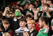 8 October 2023; Cork City supporters before the Sports Direct Men’s FAI Cup semi-final match between Cork City and St Patrick's Athletic at Turner’s Cross in Cork. Photo by Eóin Noonan/Sportsfile