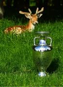 10 October 2023; UEFA have today announced the host associations for UEFA EURO 2028, with the Aviva Stadium in Dublin, and Casement Park in Belfast included as host stadiums. Pictured is The Henri Delaunay Trophy at Phoenix Park in Dublin. Photo by Ramsey Cardy/Sportsfile