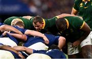 15 October 2023; Deon Fourie of South Africa, centre, prepares to scrum at hooker during the 2023 Rugby World Cup quarter-final match between France and South Africa at the Stade de France in Paris, France. Photo by Harry Murphy/Sportsfile