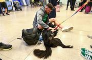 16 October 2023; Hugo Keenan of Ireland is greeted by his dog Archie on the Ireland rugby team's return at Dublin Airport from the 2023 Rugby World Cup in Paris, France. Photo by Piaras Ó Mídheach/Sportsfile