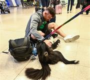 16 October 2023; Hugo Keenan of Ireland is greeted by his dog Archie on the Ireland rugby teams arrival at Dublin Airport from the 2023 Rugby World Cup in France. Photo by Piaras Ó Mídheach/Sportsfile