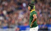 15 October 2023; Kurt-Lee Arendse of South Africa during the 2023 Rugby World Cup quarter-final match between France and South Africa at the Stade de France in Paris, France. Photo by Ramsey Cardy/Sportsfile