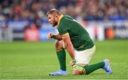 15 October 2023; Duane Vermeulen of South Africa during the 2023 Rugby World Cup quarter-final match between France and South Africa at the Stade de France in Paris, France. Photo by Ramsey Cardy/Sportsfile