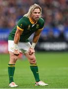 15 October 2023; Faf de Klerk of South Africa during the 2023 Rugby World Cup quarter-final match between France and South Africa at the Stade de France in Paris, France. Photo by Ramsey Cardy/Sportsfile