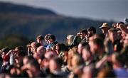 15 October 2023; Supporters during the Down County Senior Club Football Championship final match between Burren and Kilcoo at Pairc Esler in Newry, Down. Photo by Ben McShane/Sportsfile