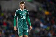 17 October 2023; Isaac Price of Northern Ireland during the UEFA EURO 2024 Championship qualifying group H match between Northern Ireland and Slovenia at the National Football Stadium at Windsor Park in Belfast. Photo by Ramsey Cardy/Sportsfile