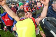 29 October 2023; Damien Finnerty of St Thomas celebrates after the Galway County Senior Club Hurling Championship final match between Turloughmore and St Thomas at Pearse Stadium in Galway. Photo by Ray Ryan/Sportsfile cousins