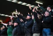 30 October 2023; Shamrock Rovers supporters during the SSE Airtricity Premier Division match between Cork City and Shamrock Rovers at Turner's Cross in Cork. Photo by David Fitzgerald/Sportsfile