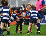 4 November 2023; Action between Lansdowne and Blackrock College in the Bank of Ireland Half-Time Minis during the United Rugby Championship match between Leinster and Edinburgh at the RDS Arena in Dublin. Photo by Harry Murphy/Sportsfile