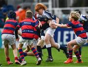 4 November 2023; Action between Clontarf and Portlaoise in the Bank of Ireland Half-Time Minis during the United Rugby Championship match between Leinster and Edinburgh at the RDS Arena in Dublin. Photo by Harry Murphy/Sportsfile