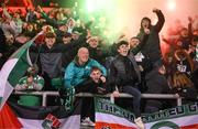 10 November 2023; Cork City supporters celebrate their first goal during the SSE Airtricity Men's Premier Division Promotion / Relegation play-off match between Waterford and Cork City at Tallaght Stadium in Dublin. Photo by Stephen McCarthy/Sportsfile