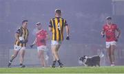 11 November 2023; Aaron Kernan of Crossmaglen Rangers stops play as a dog enters the pitch during the AIB Ulster GAA Football Senior Club Championship quarter-final match between Trillick of Tyrone and Crossmaglen Rangers of Armagh at O'Neills Healy Park in Omagh, Tyrone. Photo by Ramsey Cardy/Sportsfile