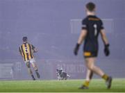 11 November 2023; A dog enters the pitch as Aaron Kernan of Crossmaglen Rangers goes on an attack during the AIB Ulster GAA Football Senior Club Championship quarter-final match between Trillick of Tyrone and Crossmaglen Rangers of Armagh at O'Neills Healy Park in Omagh, Tyrone. Photo by Ramsey Cardy/Sportsfile