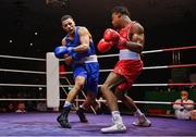 11 November 2023; Gabriel Dossen of Olympic Boxing Club, Galway, right, and Kelyn Cassidy of Saviours Crystal Boxing Club, Waterford, during their light heavyweight 80kg final bout at the IABA National Elite Boxing Championships 2024 Finals at the National Boxing Stadium in Dublin. Photo by Seb Daly/Sportsfile
