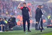 12 November 2023; Bohemians manager Declan Devine celebrates his side's first goal, a penalty scored by Jonathan Afolabi, during the Sports Direct FAI Cup Final between Bohemians and St Patrick's Athletic at the Aviva Stadium in Dublin. Photo by Seb Daly/Sportsfile