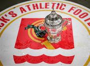 12 November 2023; A general view of of the FAI Cup in the St Patrick's Athletic dressing room after the Sports Direct FAI Cup Final between Bohemians and St Patrick's Athletic at the Aviva Stadium in Dublin. Photo by Stephen McCarthy/Sportsfile