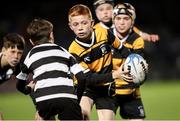 18 November 2023; Action between Newbridge and Old Belvedere in the Bank of Ireland Half-Time Minis during the United Rugby Championship match between Leinster and Scarlets at the RDS Arena in Dublin. Photo by Michael P Ryan/Sportsfile