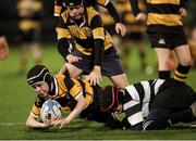 18 November 2023; Action between Newbridge and Old Belvedere in the Bank of Ireland Half-Time Minis during the United Rugby Championship match between Leinster and Scarlets at the RDS Arena in Dublin. Photo by Michael P Ryan/Sportsfile