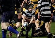 18 November 2023; Action between Newbridge and Old Belvedere in the Bank of Ireland Half-Time Minis during the United Rugby Championship match between Leinster and Scarlets at the RDS Arena in Dublin. Photo by Michael P Ryan/Sportsfile