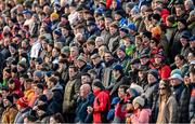 19 November 2023; Supporters during the Kerry County Intermediate Football Championship Final match between Fossa and Milltown/Castlemaine at Austin Stack Park in Tralee, Kerry. Photo by David Fitzgerald/Sportsfile