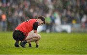 19 November 2023; David Clifford of Fossa after the Kerry County Intermediate Football Championship Final match between Fossa and Milltown/Castlemaine at Austin Stack Park in Tralee, Kerry. Photo by David Fitzgerald/Sportsfile