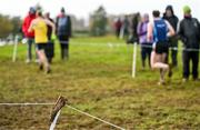 19 November 2023; A running shoe hangs on a stake during the 123.ie National Senior & Even Age Cross Country Championships at Gowran Demesne in Kilkenny. Photo by Ben McShane/Sportsfile