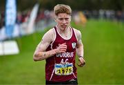 19 November 2023; Sean Lawton of Durrus AC competing in the Mens U18 & Junior 5000m during the 123.ie National Senior & Even Age Cross Country Championships at Gowran Demesne in Kilkenny. Photo by Ben McShane/Sportsfile