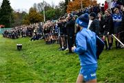 20 November 2023; Students of Kilkenny College look on as Jamison Gibson-Park arrives for a squad training session on the Leinster Rugby 12 Counties Tour at Kilkenny College in Kilkenny. Photo by Harry Murphy/Sportsfile