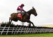 25 November 2023; Predators Gold, with Paul Townend up, jump the last on their way to winning the CourtClinic.ie Chartered Physiotherapists Supporting Kilmacud Crokes GAA Maiden Hurdle on day one of the Punchestown Winter Festival at Punchestown Racecourse in Kildare. Photo by Matt Browne/Sportsfile